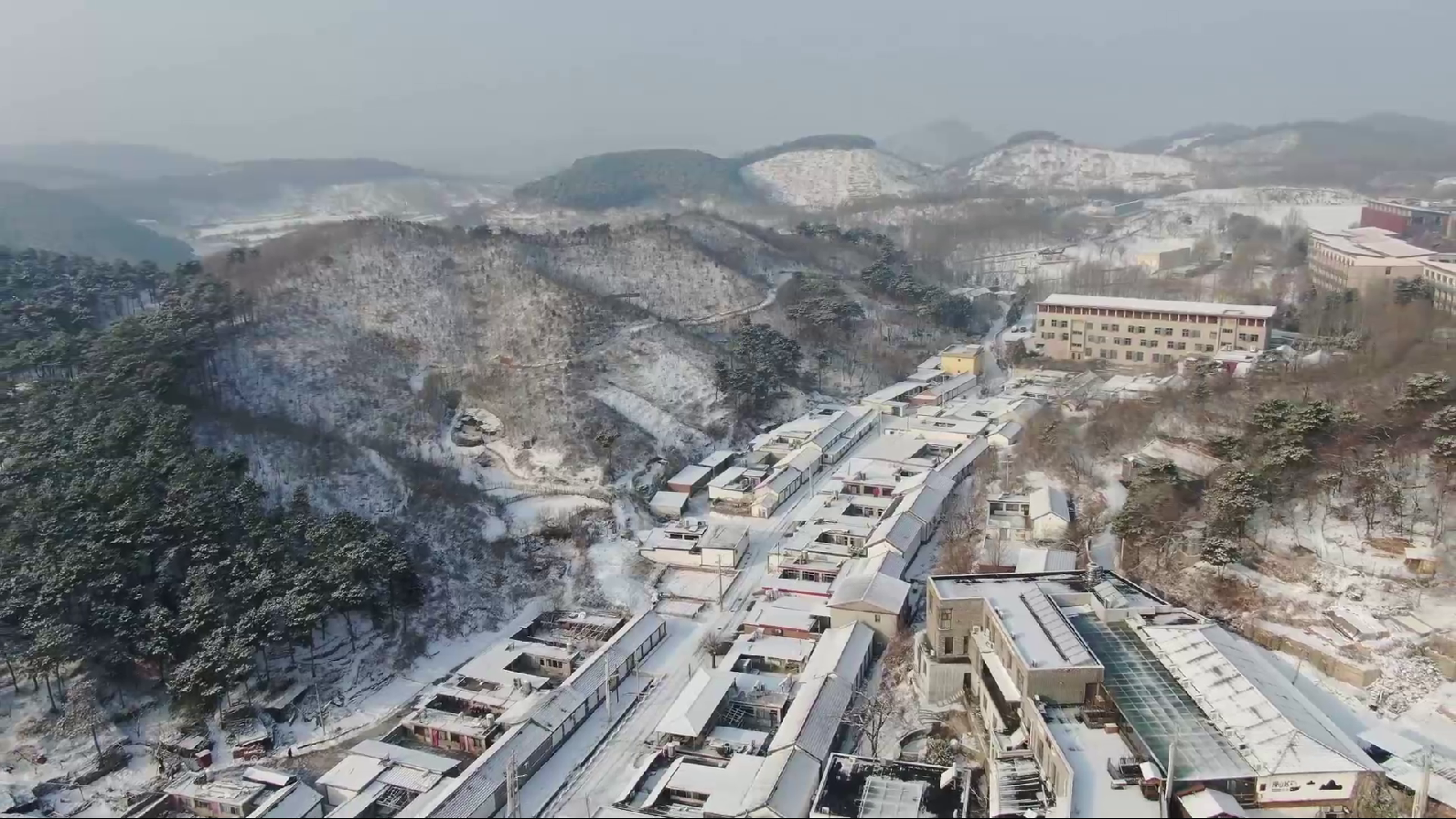 白雪不嫌春色晚 喜降瑞雪迎丰年