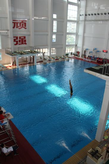 广东省跳水训练基地图片