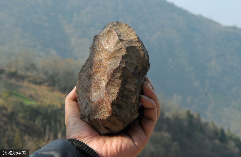 四川现神秘石器 或解8000年前大型啮齿动物之谜