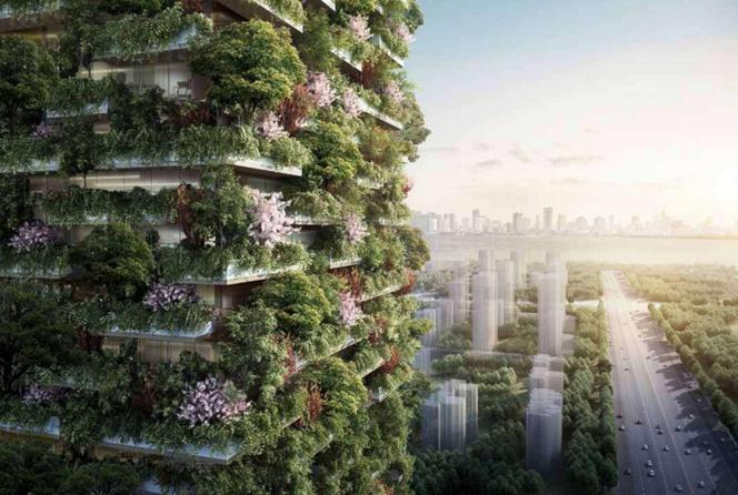 南京垂直森林的一大特点,就是能随着季节更替改变建筑外观.