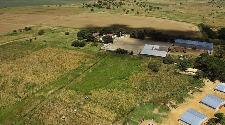 中国梦展播|《丝路微纪录II》之种蘑菇的祖鲁夫妇 中国梦展播|《丝路微纪录II》之种蘑菇的祖鲁夫妇