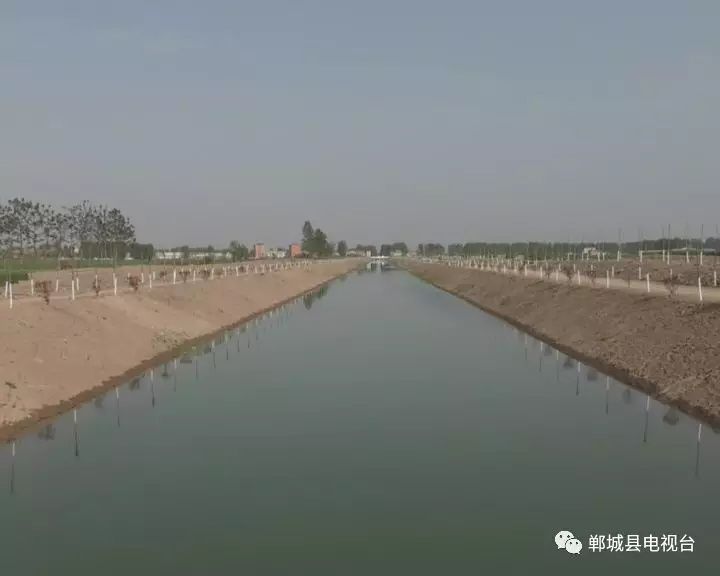 郸城:打造林业生态靓丽名片 改善乡村生态环境