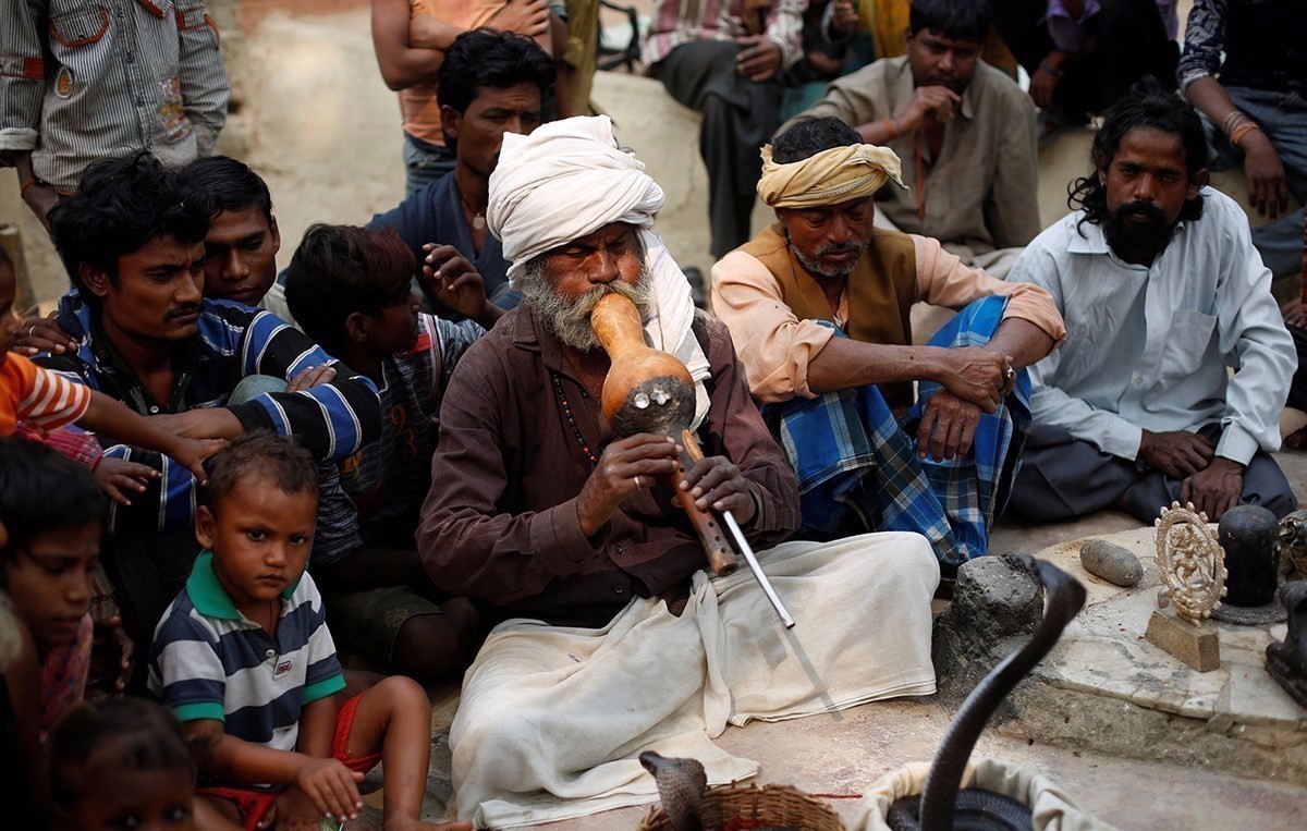 探访印度舞蛇文化 古老行业濒临灭绝 探访印度舞蛇文化 古老行业濒临灭绝