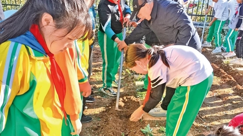房山区大石窝镇南尚乐中心小学学生体验农耕文化 房山区大石窝镇南尚乐中心小学学生体验农耕文化