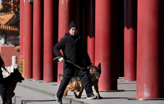 故宫最辛劳的执勤员工:大内御犬和皇家御猫!