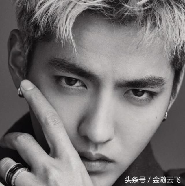 鹿晗学历,张艺兴学历,吴亦凡学历,黄子韬学历,差