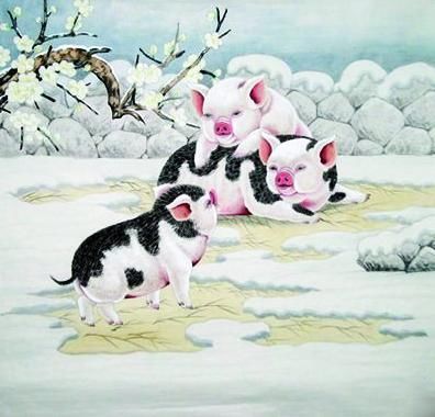 老一辈说:这3大生肖女个个人中金凤,娶她者穷