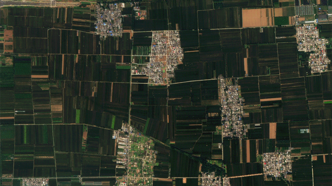 壮观！卫星视角下的中国麦田绘出丰收画卷