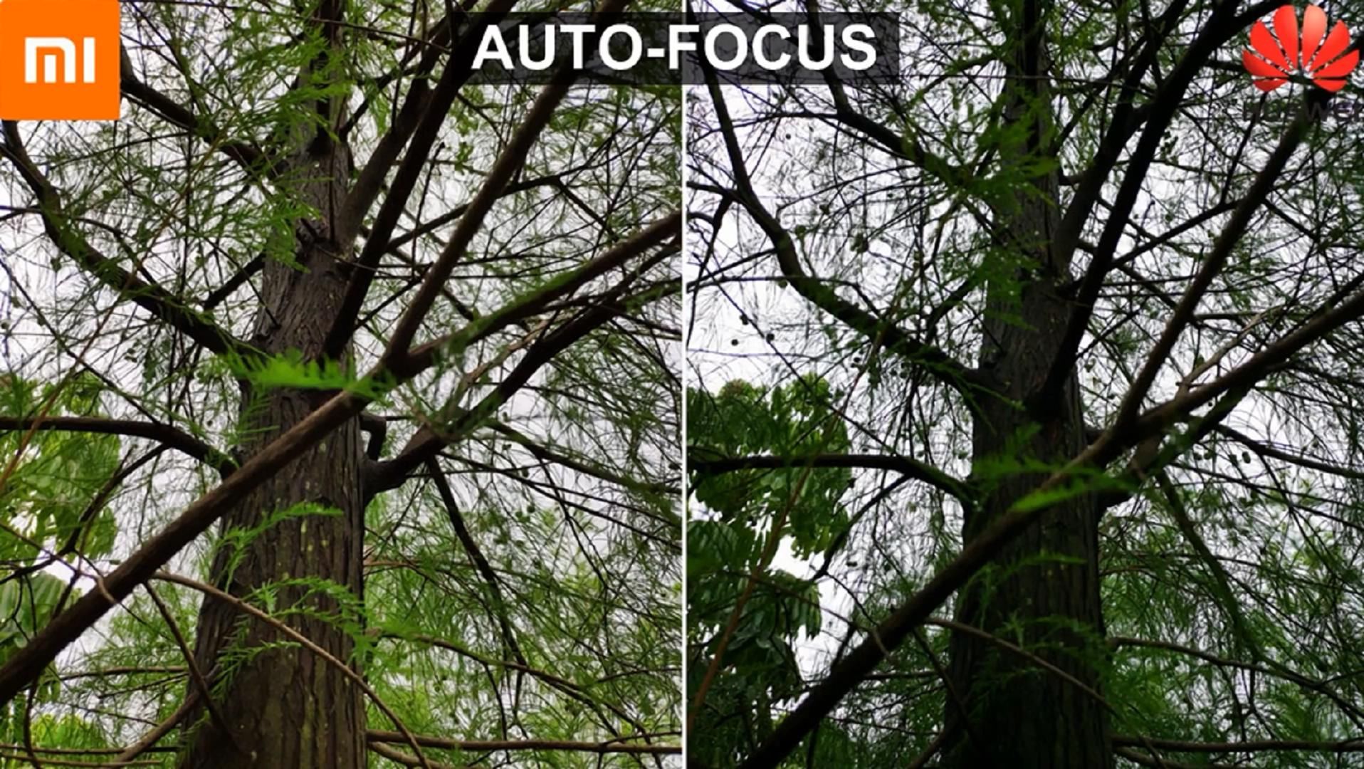 自动模式下拍照细节对比:小米8和华为P20Pro