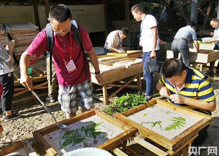 【喜迎十九大·文脉颂中华】丹寨石桥:记者用古法造一张开满鲜花的纸 【喜迎十九大·文脉颂中华】丹寨石桥:记者用古法造一张开满鲜花的纸