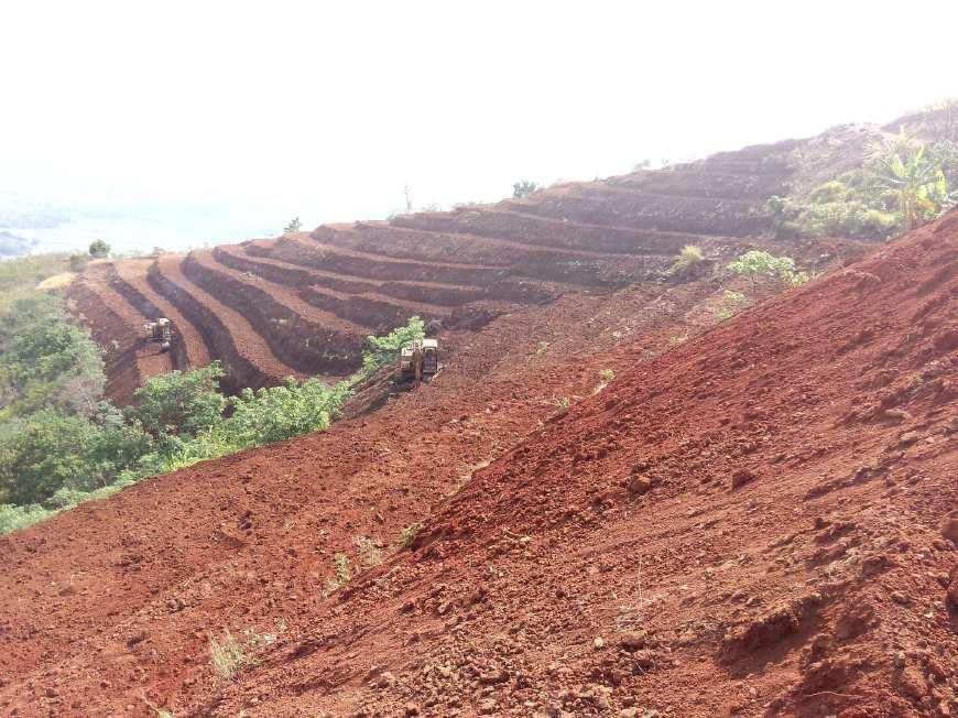 无地可种的农民也能申请补贴,这些补贴过十万