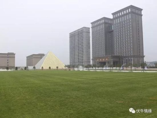 秦英林再成河南首富 其创造财富必备品质你该知道