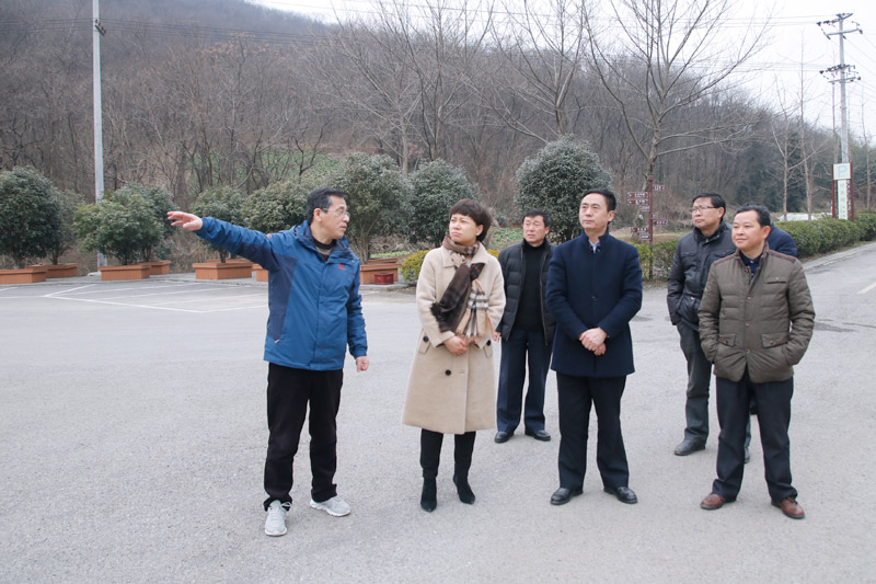 田昕检查节日期间工作安排