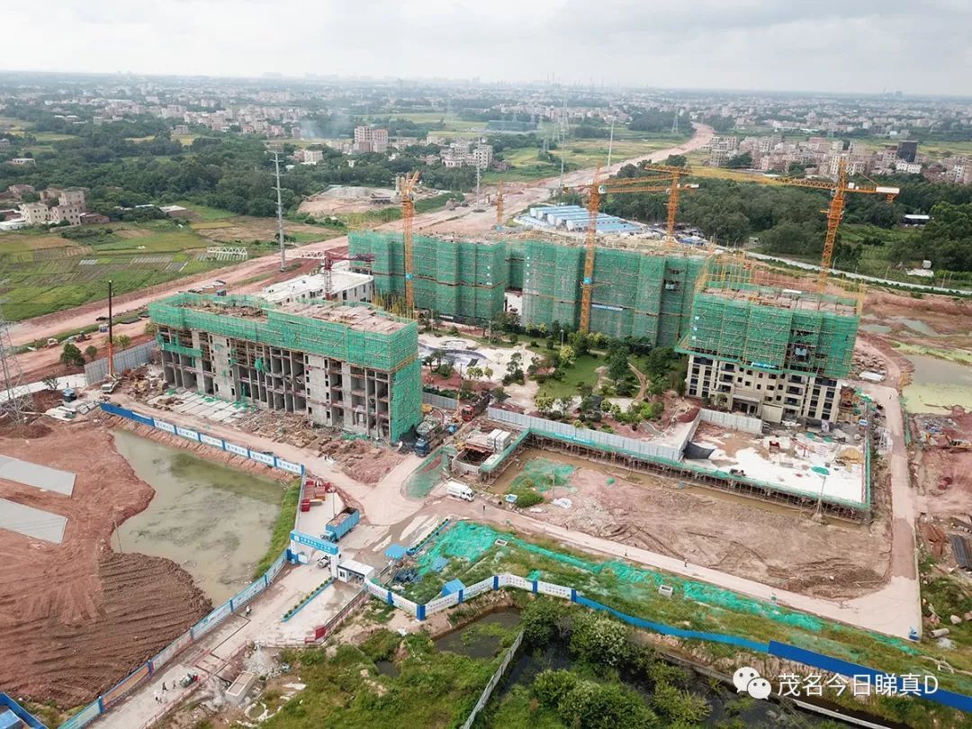 茂名中德大道最新航拍,架梁、铺路进行时,年底