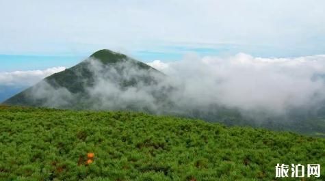 日本青森县旅游季节以及超详细攻略