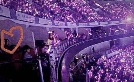 520表白节,谢霆锋忙着开会睡着,王菲赵薇林俊