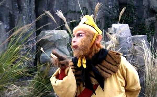 玉华城孙悟空猪八戒沙僧收徒 试问谁的徒弟变