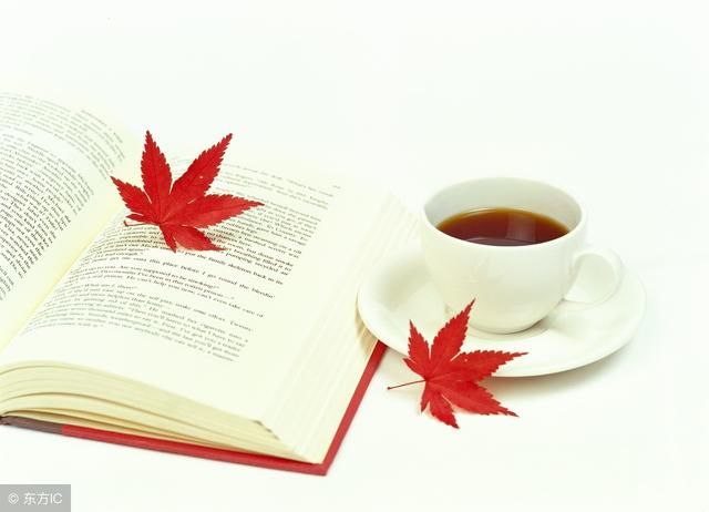 择日法坤道秘笈辛丑日壬寅日癸卯日甲辰日乙巳