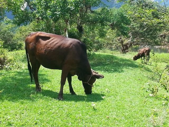 一句话新闻:滴滴、虎牙、中国平安、利群、高