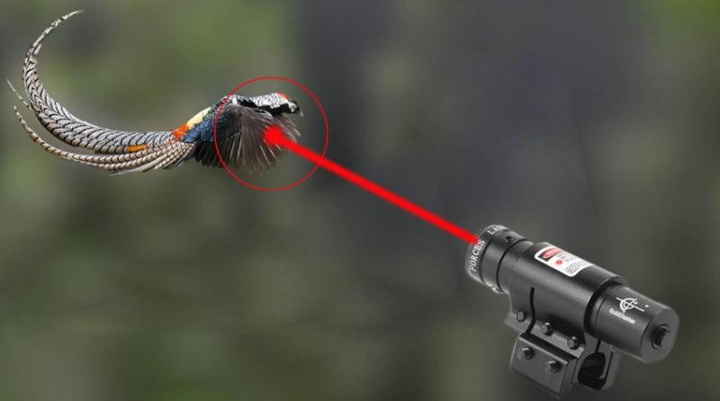 浙江造"蜂鸣电"一炮而红,捕甲鱼,逮野鸭,天天满载而归