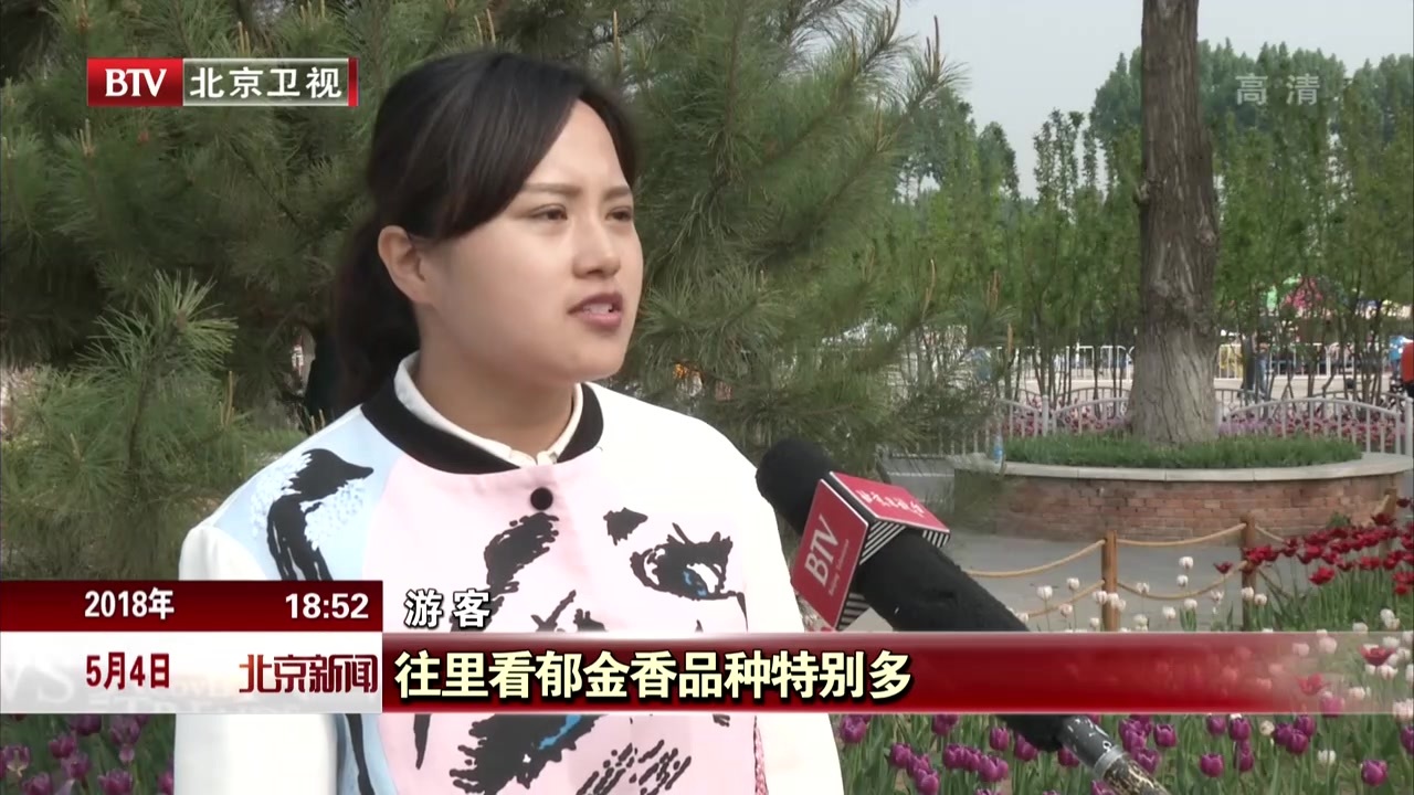 北京大兴60余万株郁金香竞相盛开 北京大兴60余万株郁金香竞相盛开