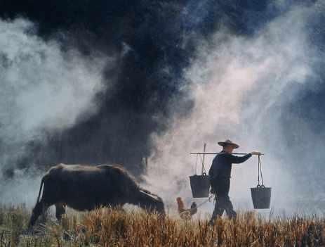 农民为什么一直这么穷, 你知道吗? 专家给出了