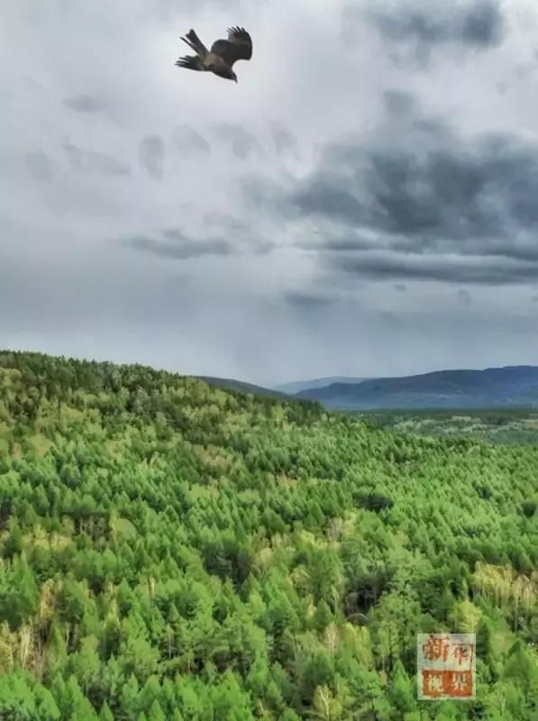 飞阅内蒙古|航拍壮美阿尔山-北京时间