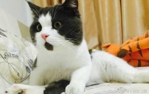 又一家重量级外企撤离中国,驻苏州工厂永久停