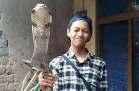 男子被眼镜蛇咬伤后,发照片到网上炫耀,12小时