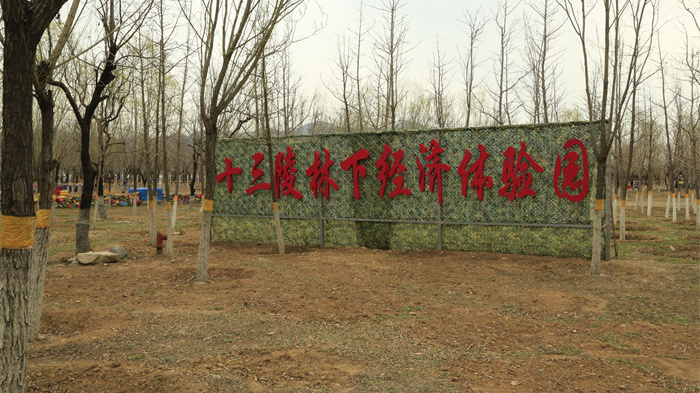 昌平区十三陵镇首个林下经济亲子乐园开放