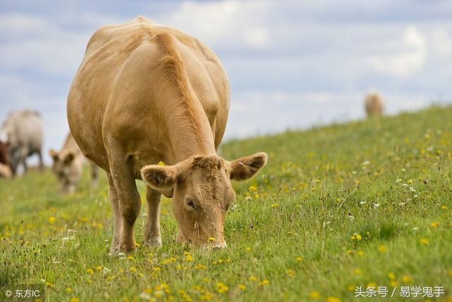 偏财用神 富得流油