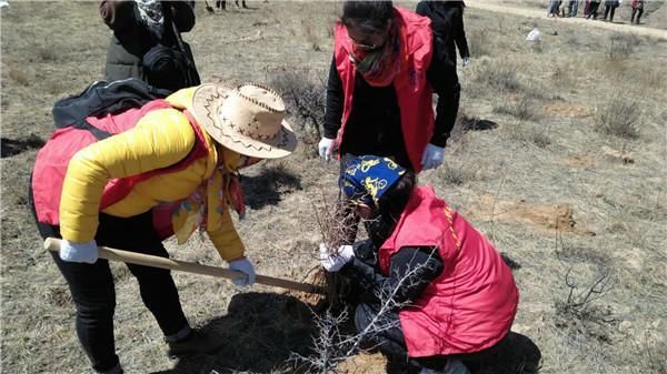 山西忻州春晖志愿者团队开展植树志愿活动