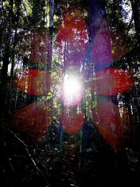 Huawei P20 Pro微光夜视拍摄效果让iPhone X