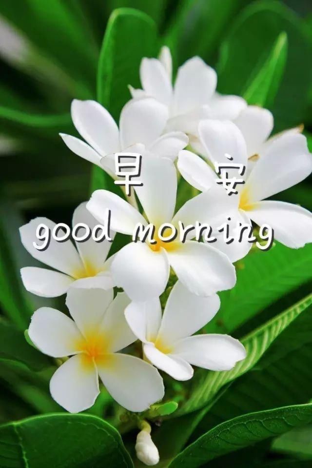 激励人不忘初心的句子 鼓励人勿忘初心的励志