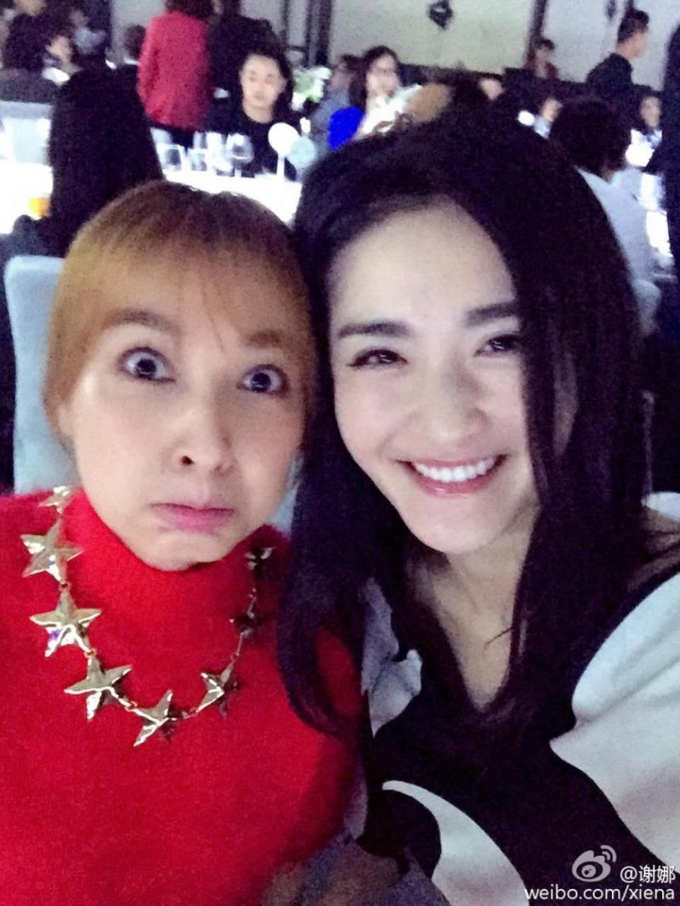 高仿号冒充谢娜在INS发文,谢娜工作室微博辟谣