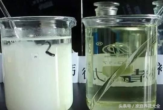 养花黄叶就浇硫酸亚铁?别急,用错了不如不用!