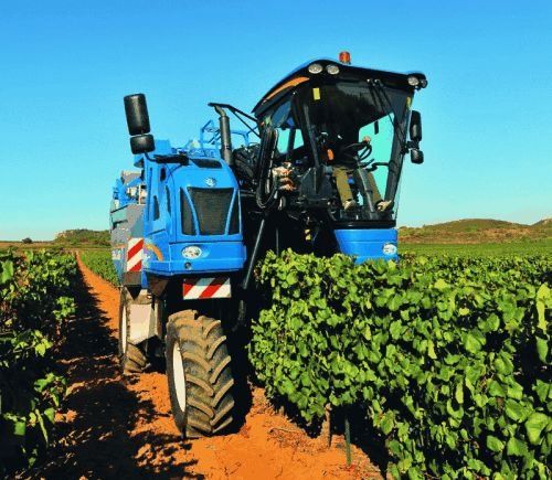 农业产业集群发展,让乡村振兴与城镇化战略有