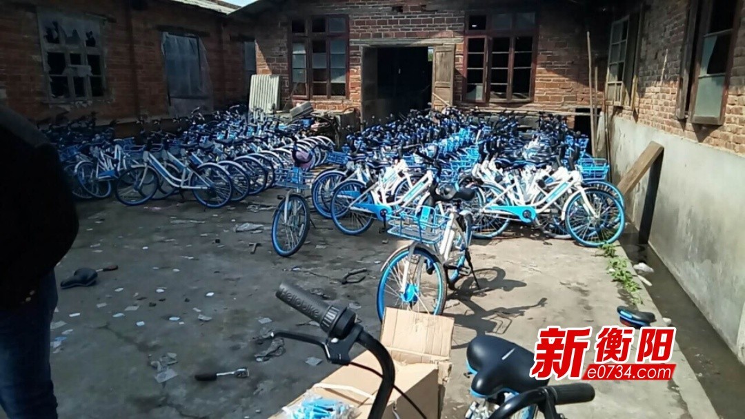 哈罗单车在衡破坏率近40%,请管好你家的熊孩子 哈罗单车在衡破坏率近40%,请管好你家的熊孩子