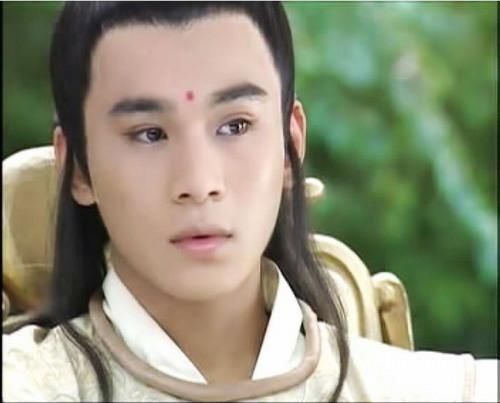 8位湖南卫视一直都捧不红的明星,天涯四美之一