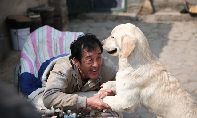 《忠爱无言》将映 改编自纪录短片《老人与狗》 6月9号上映