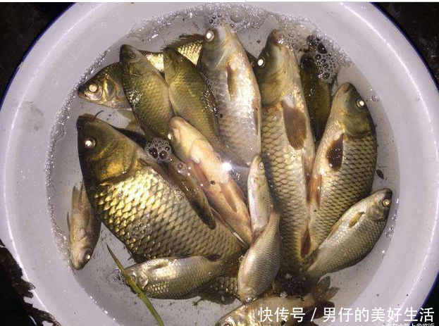 老渔翁分享一款夏季野河钓鱼饵料配方 专钓大