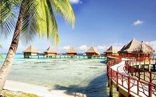 微看 深圳人注意啦!今年汛期龙舟水偏强 台风影