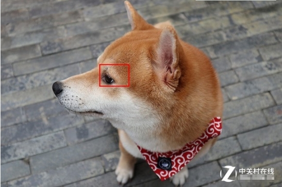 佳能微单M100实力派 高颜值微单相机