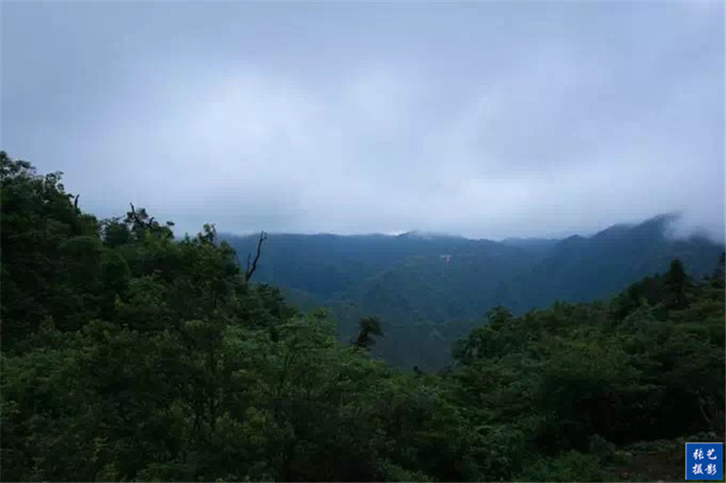 被咬过九次的“蛇博士”守护国宝蛇50年 被咬过九次的“蛇博士”守护国宝蛇50年