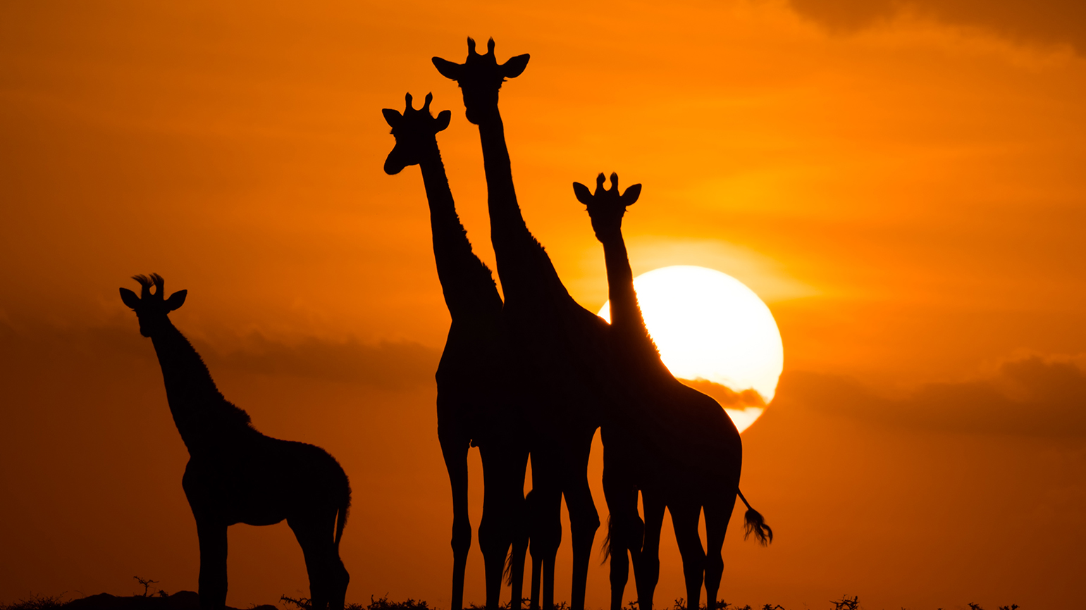 江湖传说中的摄影师夫妇——北京张子:想拍遍这个星球最美的风景! 江湖传说中的摄影师夫妇——北京张子:想拍遍这个星球最美的风景!