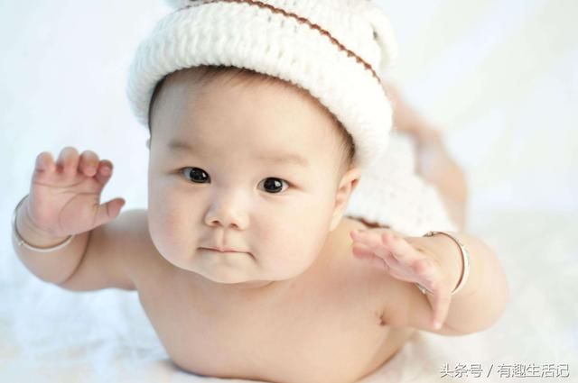 寓意好的狗年男孩名字大全,前程似锦,吉祥如意