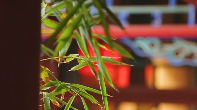 《这里是北京》20200717不可“明”说的四合院