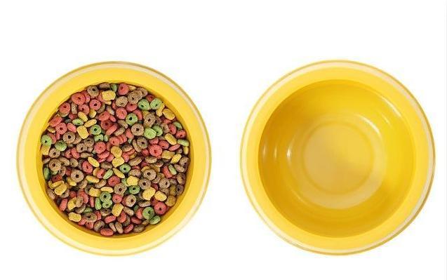 养狗之前需要准备什么东西大全,养狗必备什么