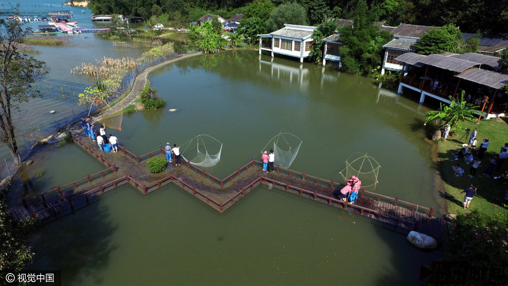 高空中的景致。