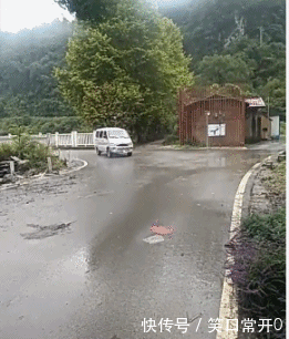 搞笑幽默的动态图GIF 看到这个车子倒着开